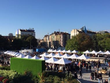 Родното земеделие с ръст във всички производства