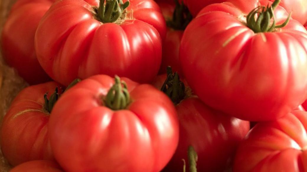Защо доматите губят вкуса си в хладилника