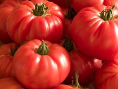 Защо доматите губят вкуса си в хладилника