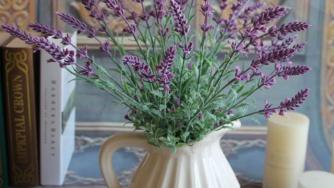 10 растения, които да отглеждаме вкъщи