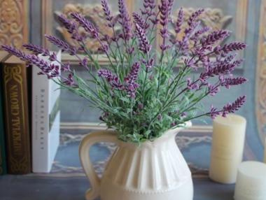 10 растения, които да отглеждаме вкъщи