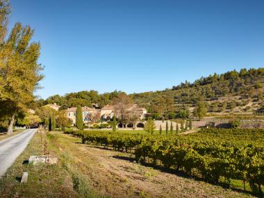 Джоли и Пит продават имението си във Франция