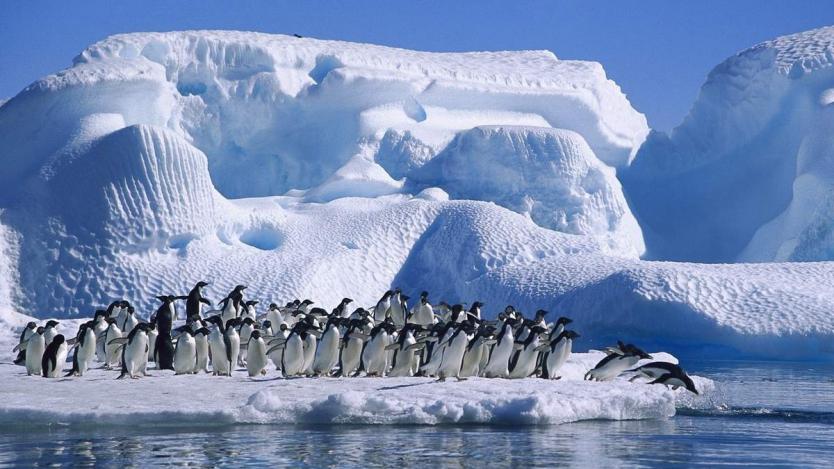 Създават най-големия морски резерват в Антарктика