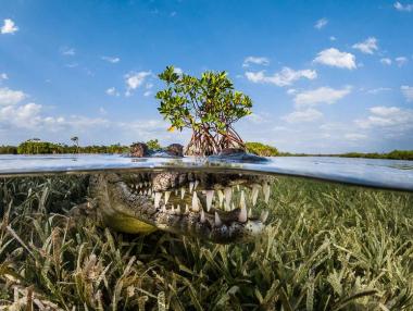 Най-добрите снимки от пътешествия през 2016 г.