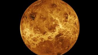 Откриха гущери и скорпиони на Венера