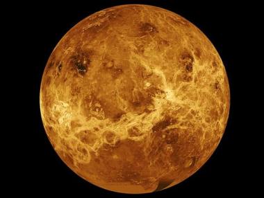 Откриха гущери и скорпиони на Венера