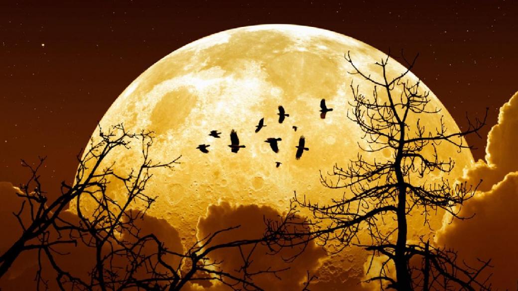 Тази нощ ще се наблюдава „Екстра Супер Луна“