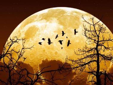 Тази нощ ще се наблюдава „Екстра Супер Луна“