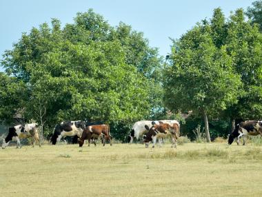 Селскостопанската продукция е поевтиняла с 5.7%
