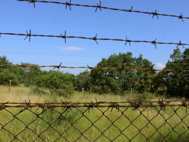 Немски депутат иска да депортира болни имигранти