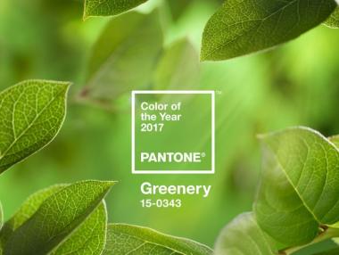 Определиха цвета на 2017 г.