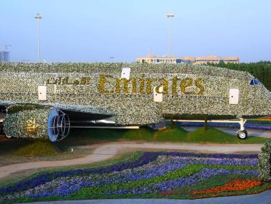 В Дубай създадоха най-голямата цветна инсталация в света