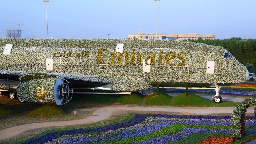 В Дубай създадоха най-голямата цветна инсталация в света