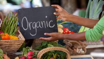 Данните от проверките по агроекологичните и биологичните мерки са достъпни