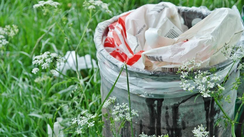 Все повече българи са се научили да рециклират