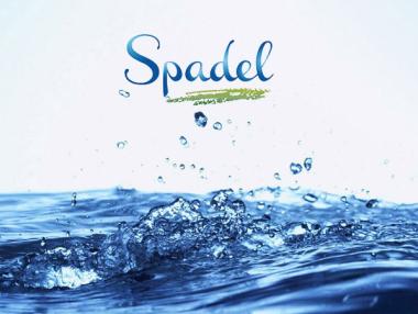 Белгийска компания купува „Девин“