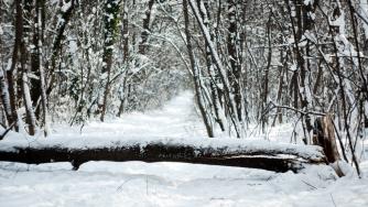 Астрономическата зима настъпва днес