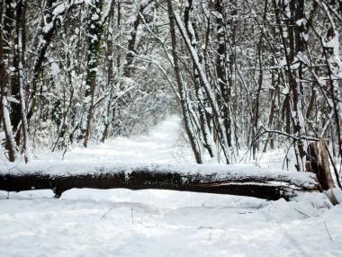 Астрономическата зима настъпва днес