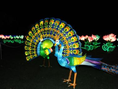 Фестивал на светлината