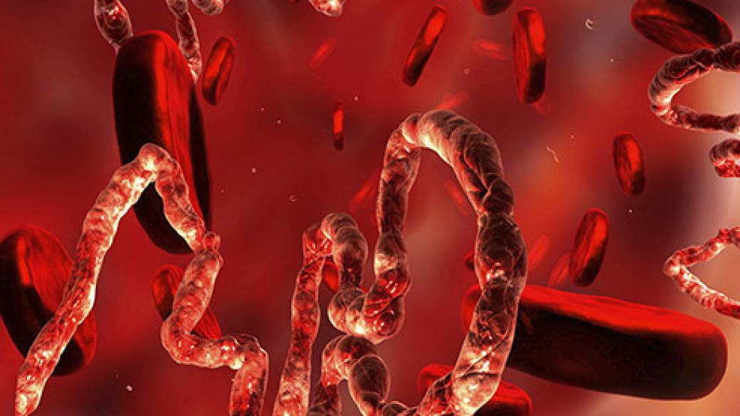 СЗО: Има ваксина срещу вируса Ебола