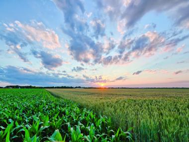 Рязкото увеличение при разходите за земеделие има съмнителен ефект