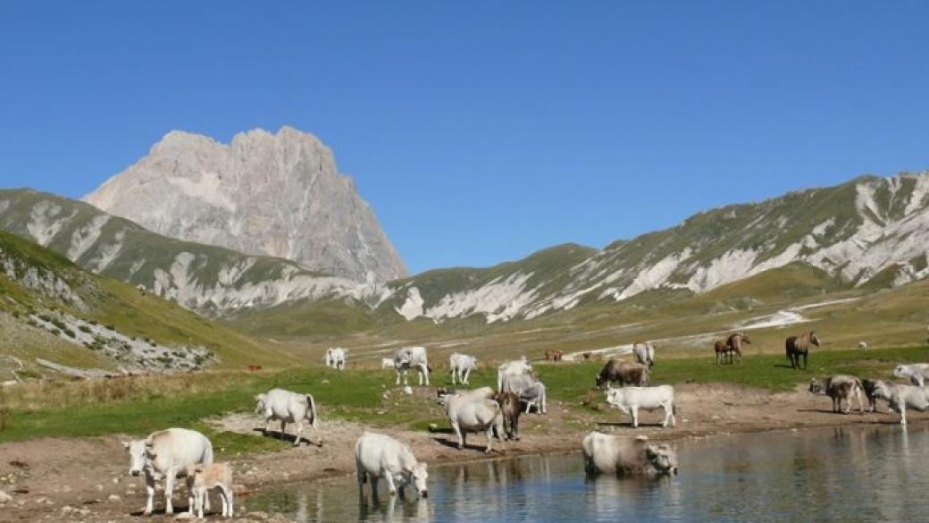 Топ 10 на националните паркове в Италия за любителите на животни
