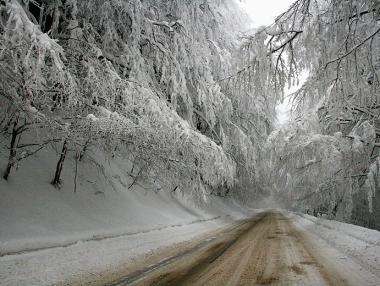 Искат референдум за тунел през Петрохан