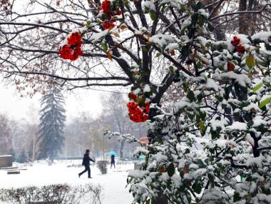Продължават опасните студове