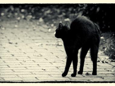 Защо 13-ти петък се счита за злополучен ден