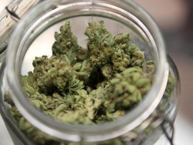 Германия разреши медицинската употреба на марихуана