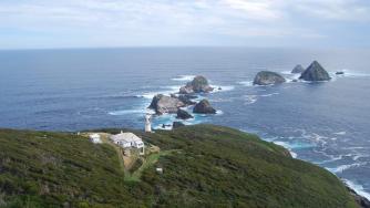 Тасманийски остров си търси стопани