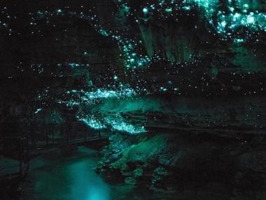 Пещерата на светулките в Нова Зеландия