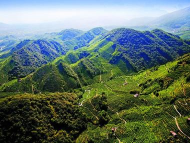 Италия предлага зоните за производство на Просеко да влязат в списъка на Юнеско