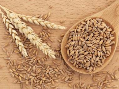 Експерти ще показват как да отглеждаме лимец