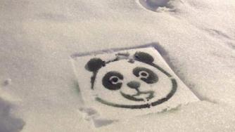 Центърът на София осъмна в панди