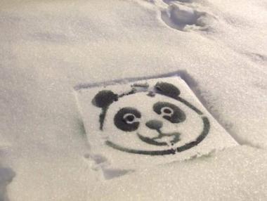 Центърът на София осъмна в панди