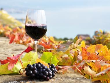 Отбелязваме Трифоновден