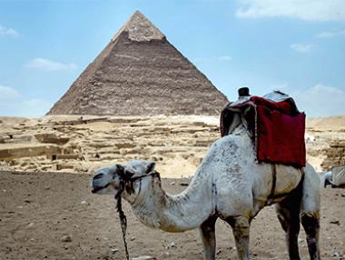 Туристическият поток в Египет е спаднал с близо 50%