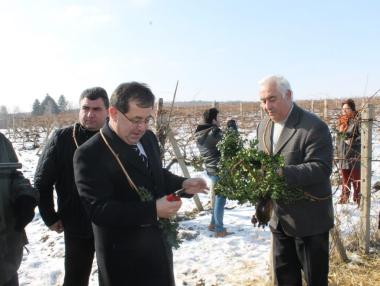 Изнасяме в чужбина половината от произведеното вино у нас