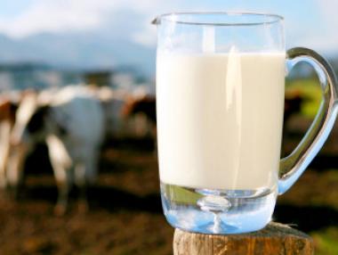 Животновъди получиха над 500 хил. лв. за намаляване на производството на мляко