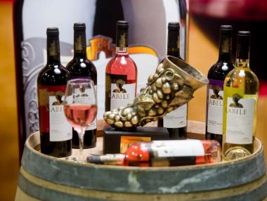 Вила Ямбол стана най-успешната изба за 2017