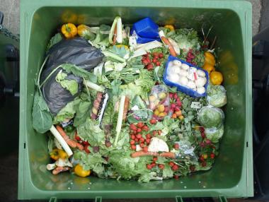 Ежегодно се унищожават стотици тонове храна, а хиляди българи гладуват