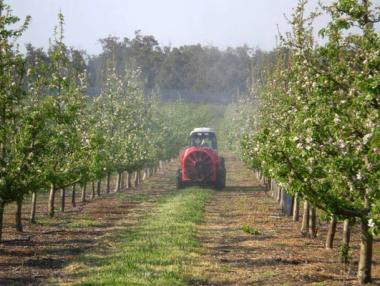 Фонд „Земеделие“ ще даде 4 млн. лв. субсидия за борба с вредителите