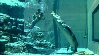 Най-странните увеселителни паркове 