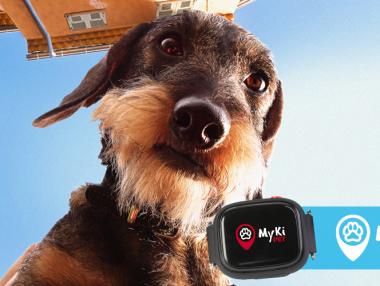 Умна джаджа следи домашните любимци