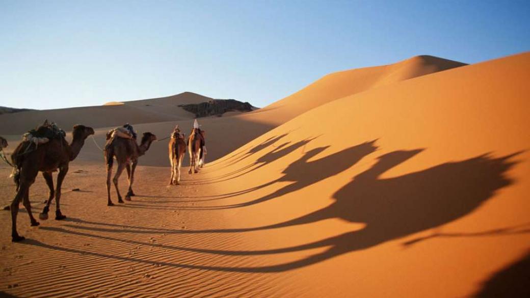 Хората са допринесли за превръщането на Сахара в пустиня