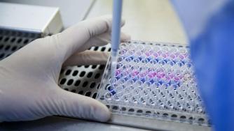 Благотворителните организаци във Великобритания губят 230 млн. евро от Brexit