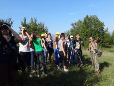 Набират проекти по програмата „Мтел еко грант“