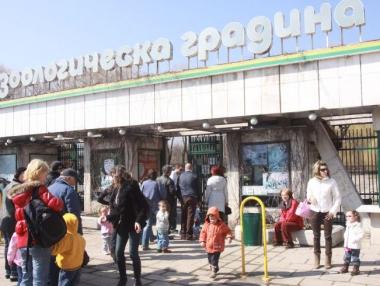 10 млн. лева ще струва модернизацията на столичния зоопарк