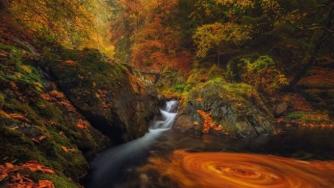 Българска снимка е сред 25-те най-вдъхновяващи на света